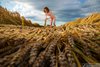 Nude Teen Girl Harvesting Wheat Crop
